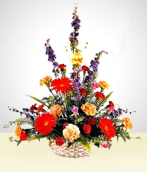 Flores a Guatemala Celestial: Claveles Multicolores